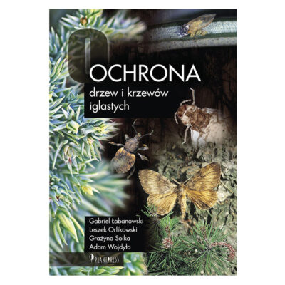Ochrona drzew i krzewów iglastych