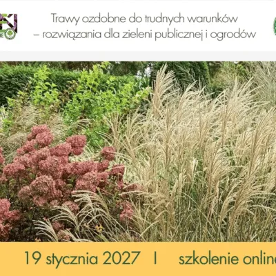 trawy ozdobne do trudnych warunków - rozwiązania dla zieleni publicznej i ogrodów_szkolenie online
